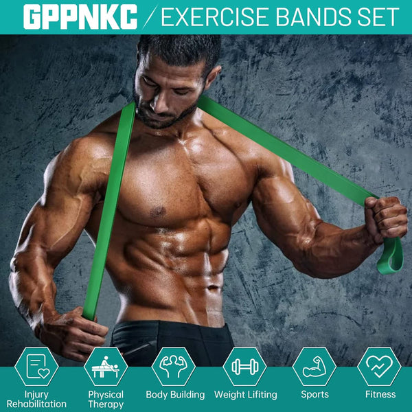Resistance Band,Pull up Assistance Bands, Workout Bands, Exercise Bands, Resistance Bands Set for Working Out with Door Anchor,Physical Therapy,