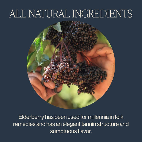 Rishi Tea Elderberry Healer Organic Herbal Tea Bags, Caffeine Free, 15ct Elderberry Healer 15 Count (Pack of 1)