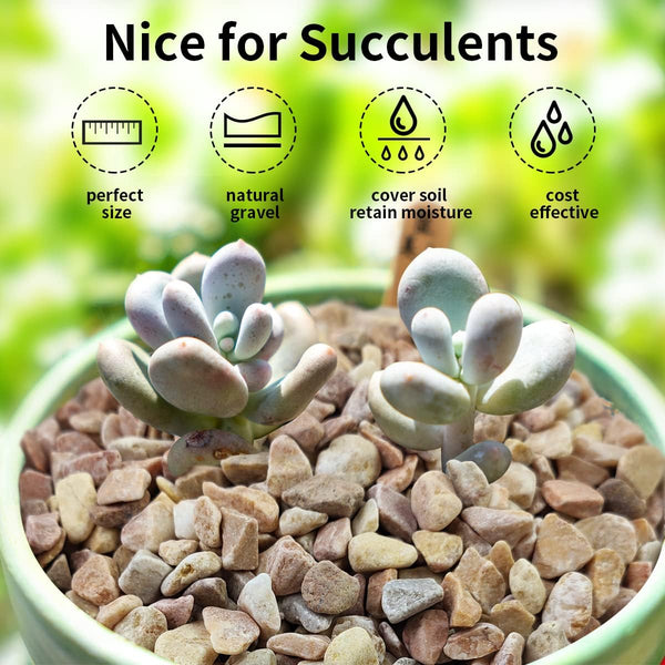 FANTIAN 5lbs Natural Pea Gravel Pebbles, 3/8 Inch Decorative Succulent Rocks Pebbles for Indoor Plants. River Rocks for Vase and Outdoor Garden