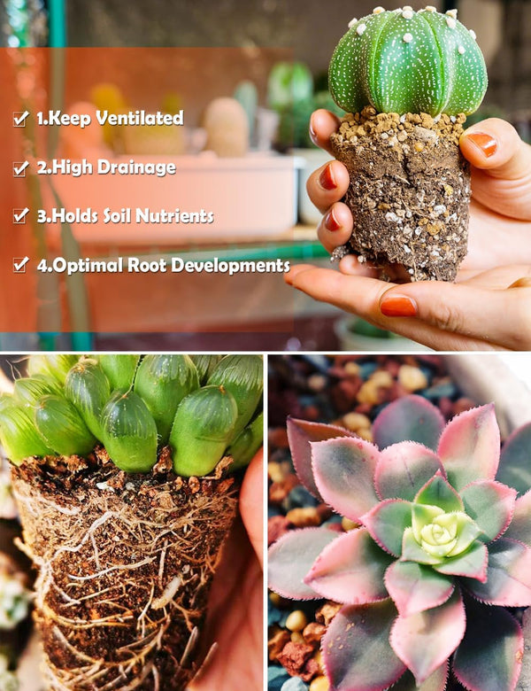 TOYPOPOR Leca Clay Pebbles for Plants, (3 Quarts) Leca Balls, Lightweight Clay Ball, Potting Mix, Grow Media Used for Drainage, Decoration,