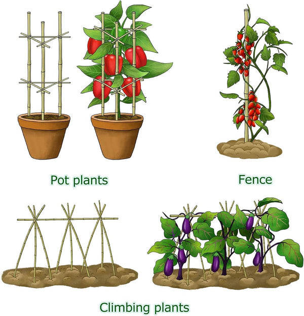 Cambaverd Bamboo Stakes 4ft Natural Plant Stakes for Tomatoes, Beans, Climbing Plants Support - 25 Pack Bamboo Sticks for Plants 4 FT-25PACK