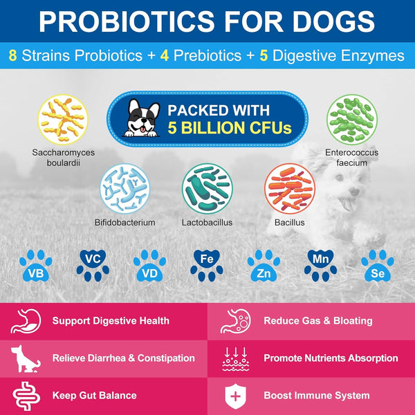 NATURE TARGET Dog Vitamins Powder, Probiotics & Digestive Enzymes for Gut Health, Glucosamine & Chondroitin & Omega 3, Complete Supplement for