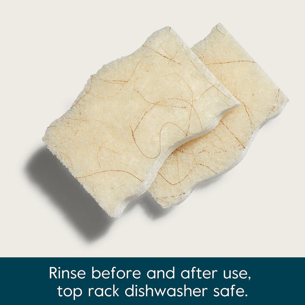 Grove Co. Coconut Scrubber Sponges, 6 Count, Dual Sided, Non-Scratch | 100% Plant-Based Cellulose; Super Absorbent; Removes Tough Messes; Easy to