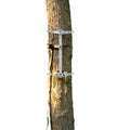 Climbing Sticks, 17” Lightweight Aluminium Hunting Climbing Sticks w/Silent Design, Tree Stand Sticks w/Pivoting V-Brackets & 20” Rope Aiders,