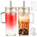 Birity 24oz Glass Cups with Lids and Straws,Glass Tumbler with Handle,2 set–Reusable Glass Ice Coffee Cups with Lid and Straw for