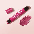 Burt's Bees Shimmer Lip Tint Set, Mothers Day Gifts, Tinted Lip Balm Stick, Moisturizing for All Day Hydration with Natural Origin Glowy Pigmented