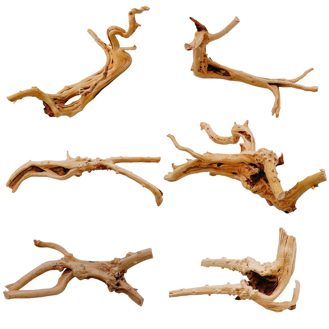 Hamiledyi 6PCS Aquarium Driftwood 6-8In Natural Spider Wood Branches Reptiles Aq