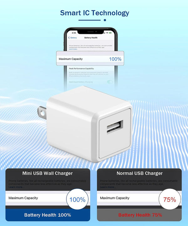 iPhone Charger,Long 6FT iPhone Charger 2Pack i Phone Cord 6feet USB to Lightning Cable Quick Fast Charging Data Sync Cord USB Wall Charge Block
