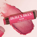 Burt's Bees Lip Tint Balm with Long Lasting 2 in 1 Duo Tinted Balm Formula, Color Infused with Deeply Hydrating Shea Butter for a Natural Looking