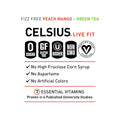 CELSIUS Fizz Free Peach Mango Green Tea, Sugar Free Energy Drink, 12 Fl Oz (Pack of 12)