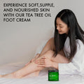 Majestic Pure Tea Tree Foot Cream with Tea Tree Oil - 8 Oz Tea Tree 8 Fl Oz (Pack of 1)