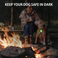2-Pack Rechargeable Dog Light, Dog Collar Light,Waterproof ,3 Modes LED Dog Safety Lights,Multiple Color Options,Clip On Collar, Leash or