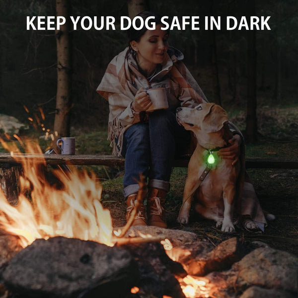 2-Pack Rechargeable Dog Light, Dog Collar Light,Waterproof ,3 Modes LED Dog Safety Lights,Multiple Color Options,Clip On Collar, Leash or