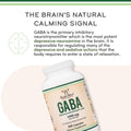 GABA Supplement (300 Capsules, 1,000mg per Serving) Promotes Calm, Relaxation, and Supports Sleep (Vegan Safe, Gluten Free, Non-GMO)(Gamma