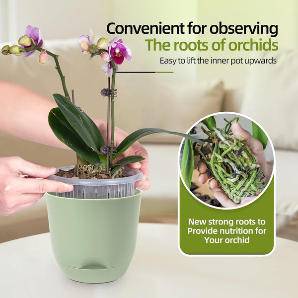 QCQHDU 2 Pack 5.7 Inch Orchid Pots with Holes for Repotting, Double-Layer and Self Watering Orchid Pot with Good Air Circulation Green 2packs 5.7IN