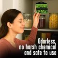 MothMag Pantry Moth Traps with Pheromones – 6 Pack, Non-Toxic Insect Killer for Kitchen, Cupboards, and Food Storage – Indoor Pantry Moth Glue
