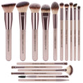 Makeup Brushes, Daubigny 16Pcs Complete Premium Synthetic Makeup Brush Set with Professional Foundation Brushes Powder Concealers Eye Shadows