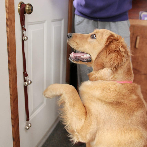 Leather Dog Doorbells to Go Outside, Brass Potty Training Bell Brown Leather Golden Bells