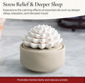 AiromÃÂ© White Succulent, Porcelain Passive Essential Oil Diffuser (With 15Ml Peppermint Essential Oil) Ã¢ÂÂ Non-Electric, Battery-Free, Improves