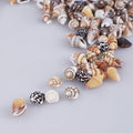 2000 PCS Tiny Mini Small Sea Shells for Crafting Spiral Conch Shells for Crafts Charms for Home Decorations Candle Decor DIY Fish Tank and Beach