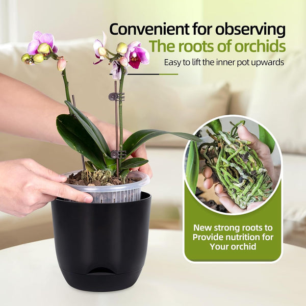 QCQHDU 2 Pack 5.7 Inch Orchid Pots with Holes for Repotting, Double-Layer and Self Watering Orchid Pot with Good Air Circulation Black 2packs 5.7IN