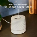 Febreze Plug Scent Booster Continuous Scent Device Oil Diffuser, Compatible with Febreze Air Freshener Plug in Refills