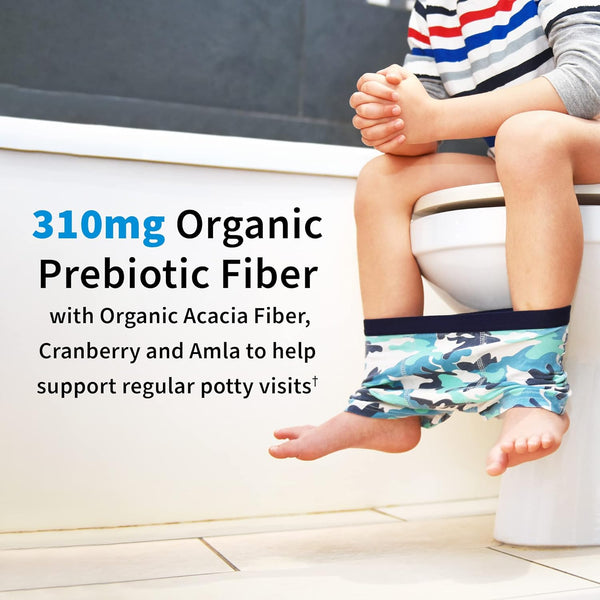 Garden of Life Dr. Formulated Probiotics Organic Kids+ plus Vitamin C & D - Watermelon - Gluten, Dairy & Soy Free Immune & Digestive Health