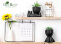Der Rose Set of 2 Fake Plants Artificial Succulent Plants for Office Desk Accessories Black Bathroom Home Room Aesthetic Decor Indoor Black 2