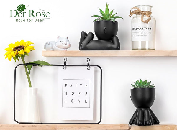 Der Rose Set of 2 Fake Plants Artificial Succulent Plants for Office Desk Accessories Black Bathroom Home Room Aesthetic Decor Indoor Black 2
