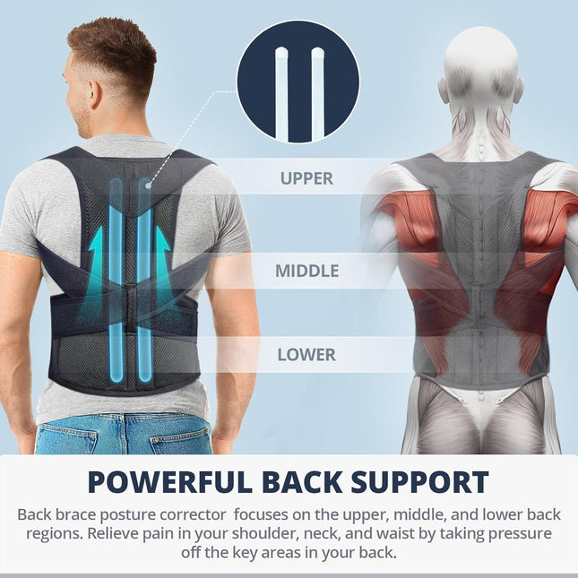Back Brace Posture Corrector for Women and Men Back Lumbar Support Shoulder Posture Support for Improve Posture Provide 
