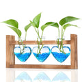 Nacome Plant Terrarium with Wooden Stand, 3 Heart Bulb Glass Vases Transparent