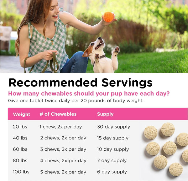 Nutri-Vet Dog Allergy Supplement, Itch & Allergy Support, 60 Count | Omega 3 Fatty Acids, Antioxidants, Respiratory Health, Coat Health, Allergy,