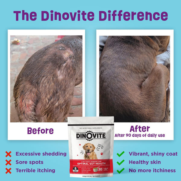 Dinovite Probiotics for Small Dogs, Probiotic Food Topper, 30 Servings | Probiotic Powder Food Topper, Omega-3 Fatty Acids, Digestive Health