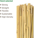Cambaverd Bamboo Stakes 4ft Natural Plant Stakes for Tomatoes, Beans, Climbing Plants Support - 25 Pack Bamboo Sticks for Plants 4 FT-25PACK