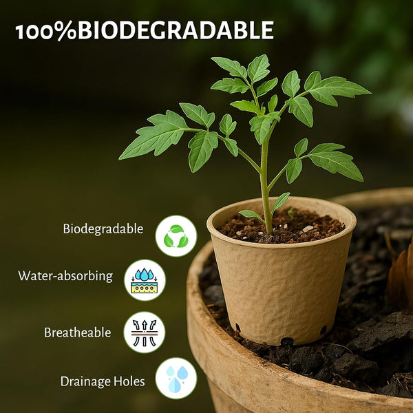 Bluepro 120 Packs 3.15 Inch Peat Pots, Biodegradable Pots for Seedlings with Drainage Holes, Herb Seed Starter 3.15 Inch-120Pcs Biodegradable Pots