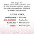 Mychelle Dermaceuticals Fruit Enzyme Cleanser