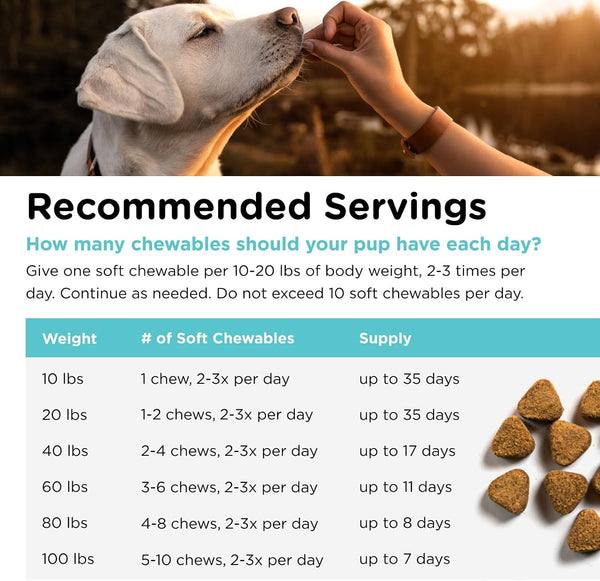 Nutri-Vet Calming Chews for Dogs, Dog Calming Chews, Chamomile, 6oz Pack of 1