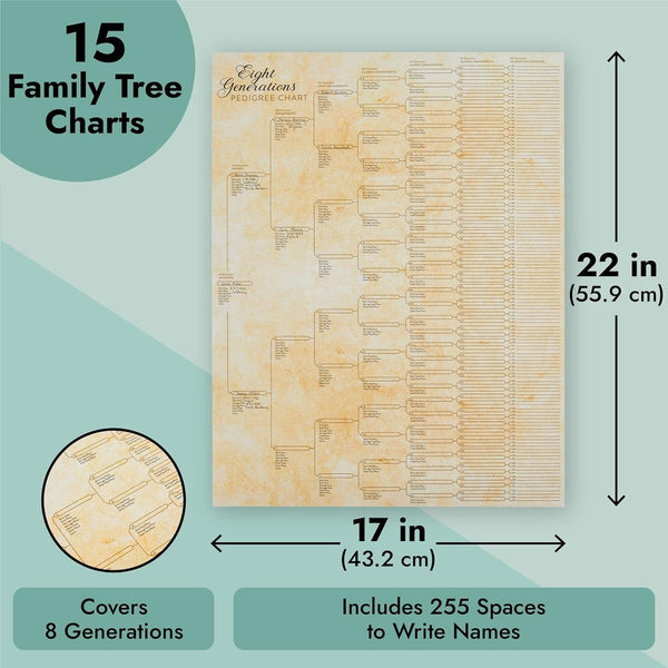 Okuna Outpost Family Tree Charts to Fill in - 8 Generation Genealogy Charts with 255 Name Spaces - Blank Family Tree Posters on Poster Paper for
