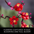 LEGO Botanicals Plum Blossom Building Sets for Adults - Artificial Flower for Dinner Table Centerpiece, Living Room Home Decor, Ages 18+ - DIY