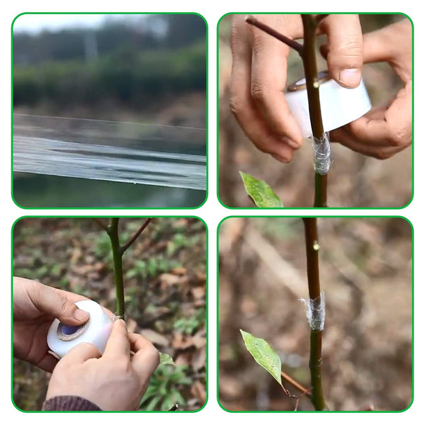 4 Pcs Grafting Tape for Fruit Trees Floral Grafting Tools Garden Plant Nursery Tape PE Stretchable Self Adhesive Membrane Clear Floristry Film