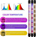 LEOTER Grow Light for Indoor Plants - Upgraded Version 80 LED Lamps with Full Spectrum & Red Blue Spectrum, 3/9/12H Timer, 10 Dimmable Level,