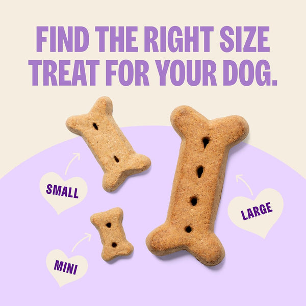 Wellness Old Mother Hubbard Classic Original Mix Dog Biscuits, Natural Training Treats, 4 Flavors, Mini Size, 20 oz Bag Assorted Mini 1.25 Pound