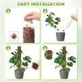 EOX Plastic Moss Pole for Monstera and Climbing Plants, 24-Inch, 6-Pack | Clear D-Shaped Design, Fold-to-Assemble, Sphagnum Moss Not Included,