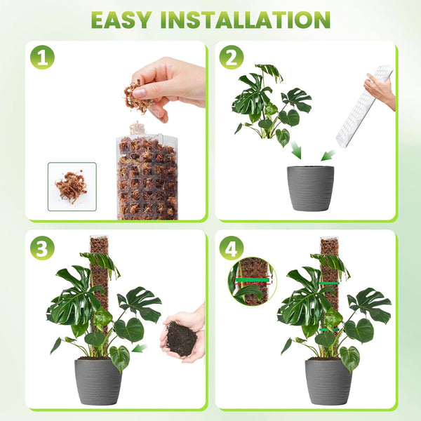 EOX Plastic Moss Pole for Monstera and Climbing Plants, 24-Inch, 6-Pack | Clear D-Shaped Design, Fold-to-Assemble, Sphagnum Moss Not Included,
