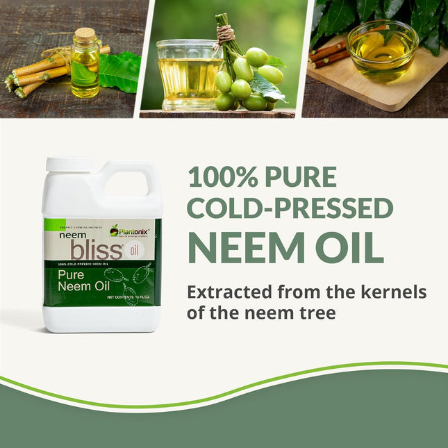 Neem Bliss (16 Fl Oz) - Pure Neem Oil Concentrate - 100% Cold Pressed Neem Oil -
