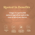 CHIMES ORIGINAL Ginger Chews (1-Pound 1 LB BAG) Premium Natural Chewy Ginger Candy — 16 OZ Individually Wrapped Ginger Chew Candy Ginger 16 Ounce