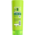 Garnier Fructis Color Shield Anti-Fade Conditioner for Color Treated Hair, 12 Fl Oz, 1 Count (Packaging May Vary) 12 Fl Oz (Pack of 1) White