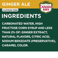 Canada Dry Ginger Ale Soda, 12 fl oz cans, 12 pack Ginger 12 Fl Oz (Pack of 12)