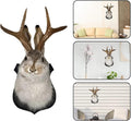 HSOSK Jackalope Mount, Jackalope Taxidermy, Deer Head Wall Mount, Resin Deer Head Animal Wall Art, for Home Wall Decoration