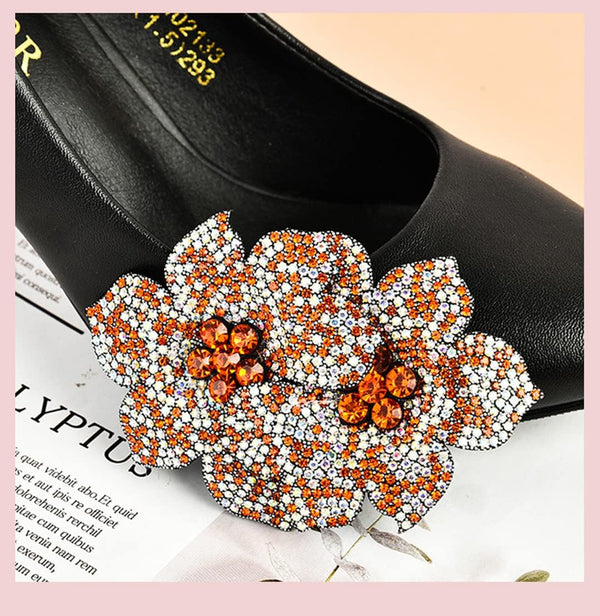 Tsangbaby Removable Rhinestone Double Flower Shoe Clips - Elegant Shine Buckle for Shoes, Bags, Clothing Accessories - Women Girls 2 Pcs Style D